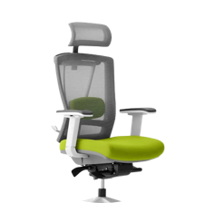 Product Category Ergonomic Chairs